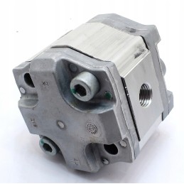 Bosch pump 0510010302