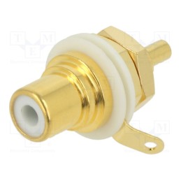 1 pcs x REAN - NYS367-9 - LETTERING PLATE VIOLET