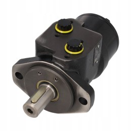 Hydraulic motor WP250 series