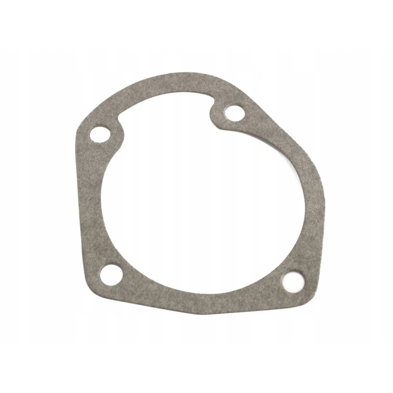 Water pump gasket, small cover, c385 80017012