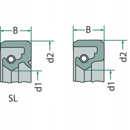 Shaft sealing ring 595080x100x13 sl