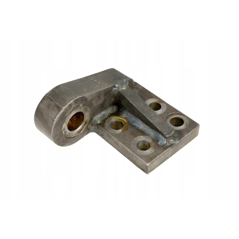 649903 1 leading goat