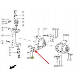 649903 1 leading goat