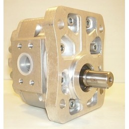 P1cen2008hl20c02 hydraulic pump