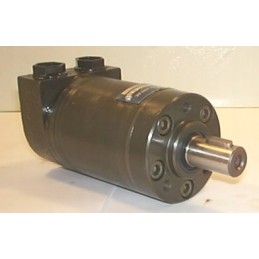 Hydraulic motor wmm12 5s