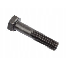 Screw m 12x1 25x50 c385 88175099