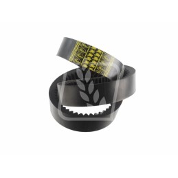 Variator belt 0256275 0256275