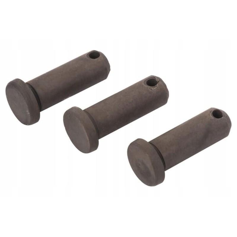 Vpg4403 king pin set