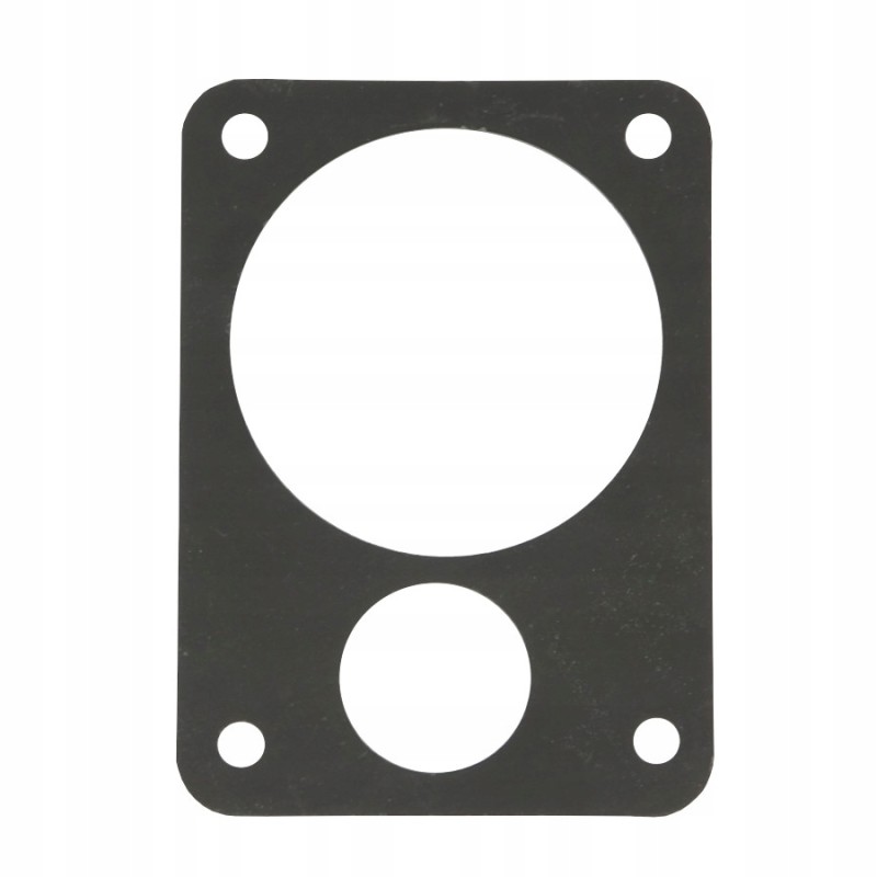 Pump gasket ostrich 50602020