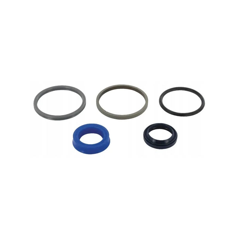 cnh actuator seal kit