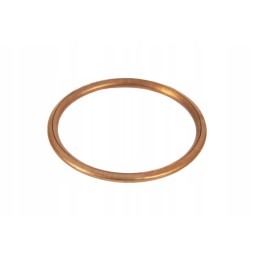 238407 2 copper fuel seal