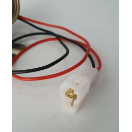 Liquid fuel pump 12v 100l h