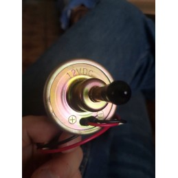 Liquid fuel pump 12v 100l h