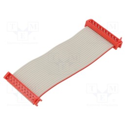 1 pcs x TE Connectivity - 2205076-1 - Cable: ribbon cable with connectors, PIN: 20, Layout: 2x10, plug
