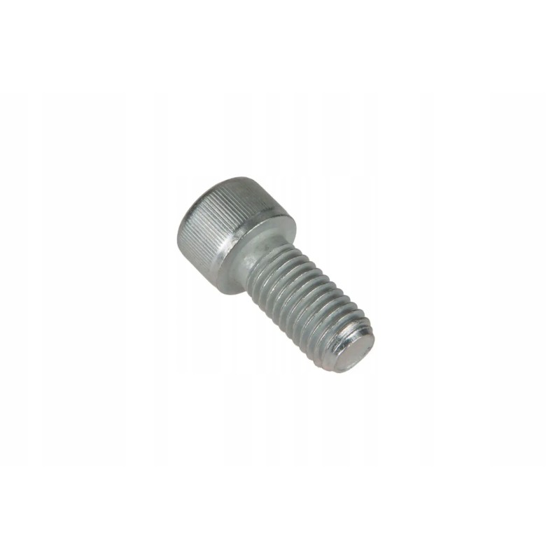 101974250 socket head screw with hexagon socket