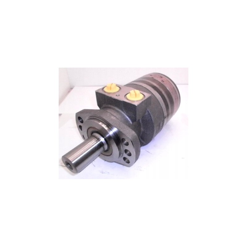 Hydraulic motor wtg0335ew450aaab