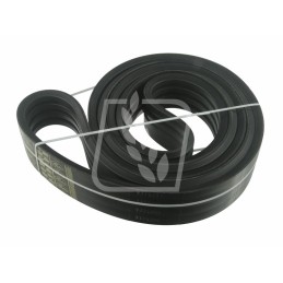 Banding belt 0325356 0325356