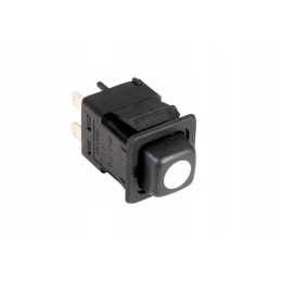 101050162 electric switch