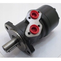 WWM250 hydraulic motor