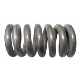 Bison Q6 clutch spring 5060050210