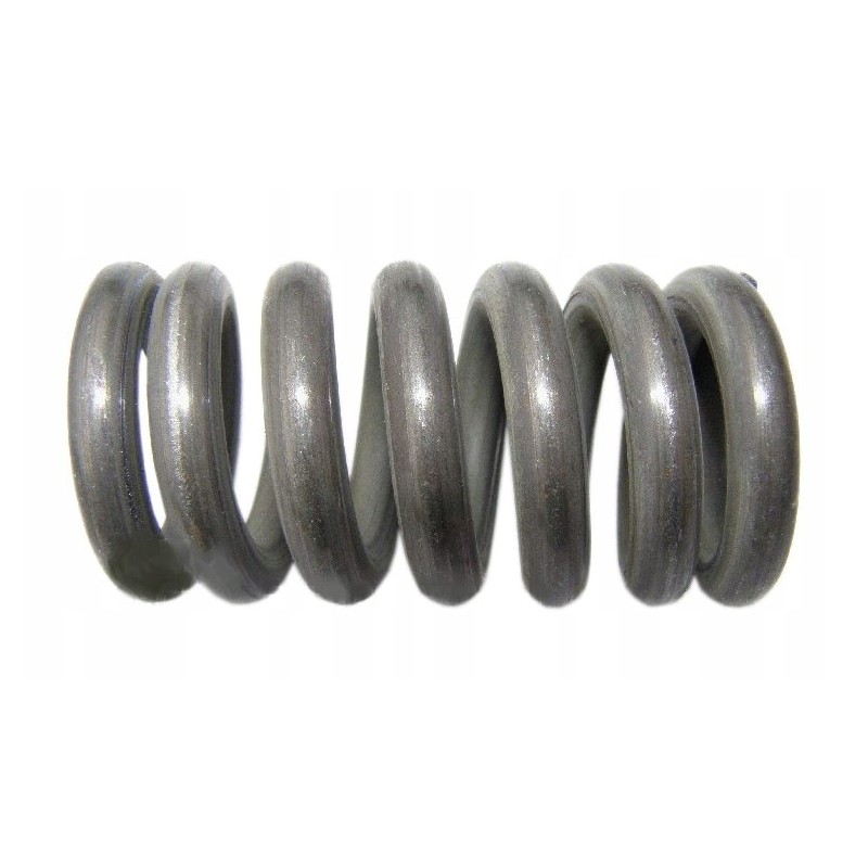 Bison Q6 clutch spring 5060050210
