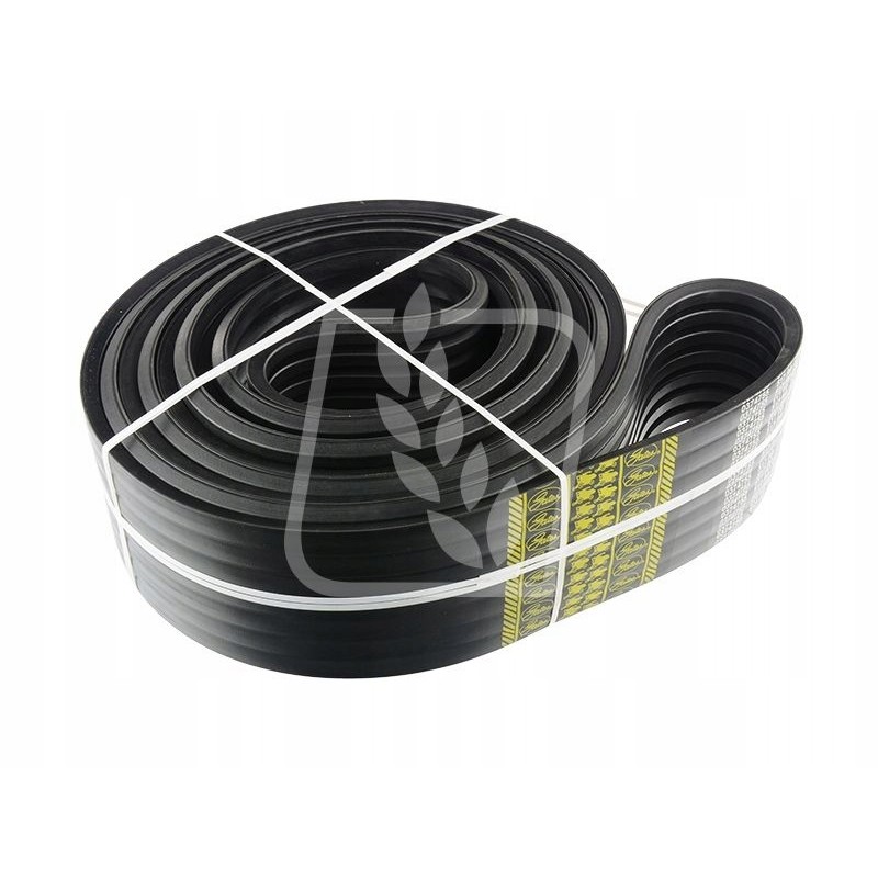 Pas gates 0374755 0374755