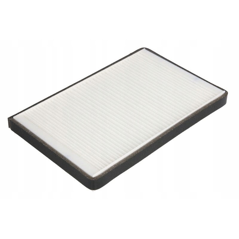 Fleetguard AF55861 cabin filter