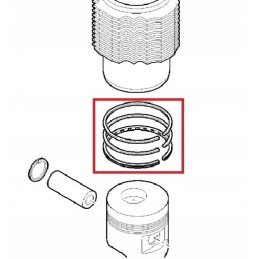 Hatz 1d41 1d42 rings 0 50 01315401