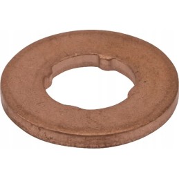 Washer for the cnh injector