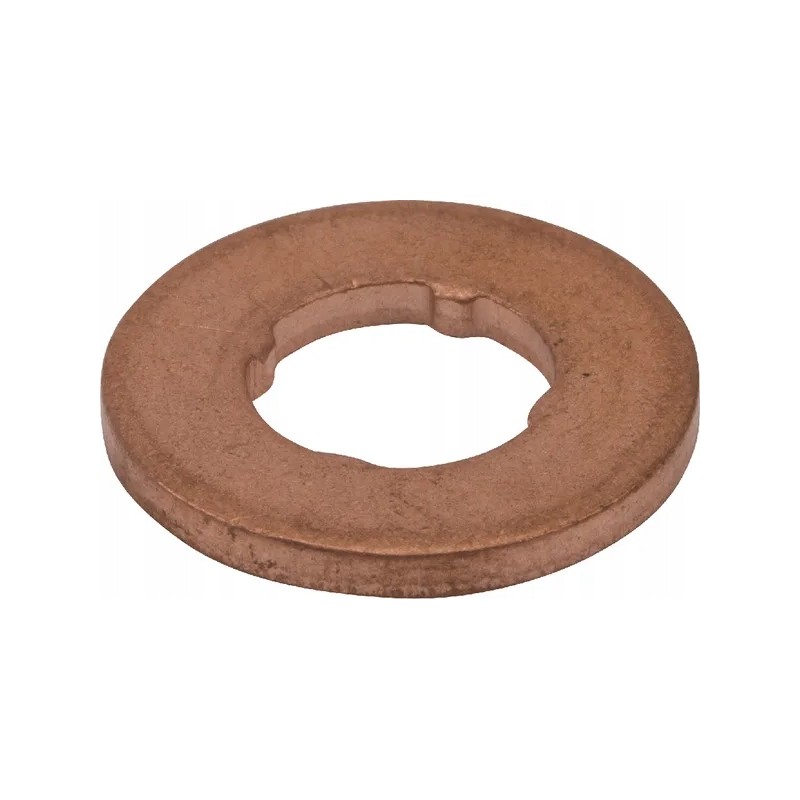 Washer for the cnh injector