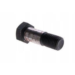 Screw m16x48 50917970