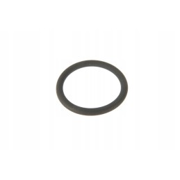 D45482900 o-ring