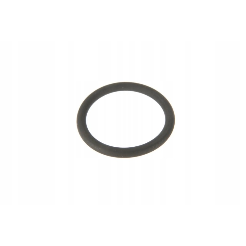 D45482900 o-ring