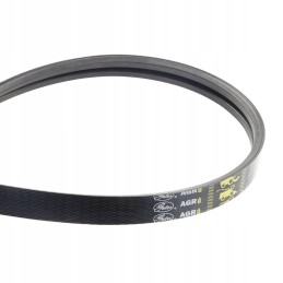 Claas 1423361 Gates V-belt