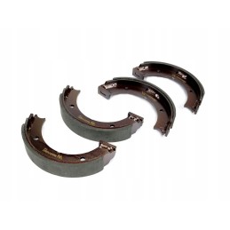 Fendt Warynski brake shoe