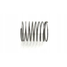 Pump valve spring t 25