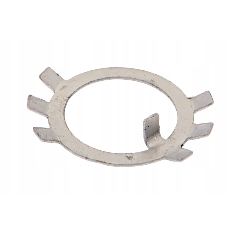 100172395 crown lock washer