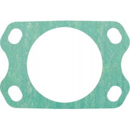 Fuel injection pump gasket