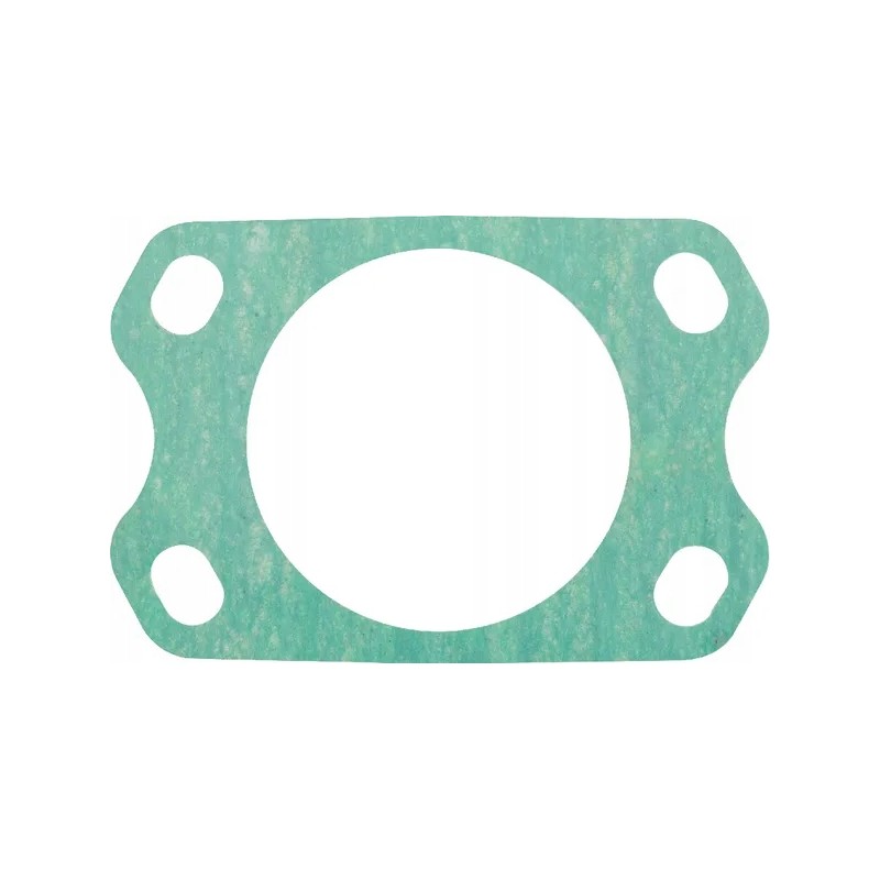 Fuel injection pump gasket