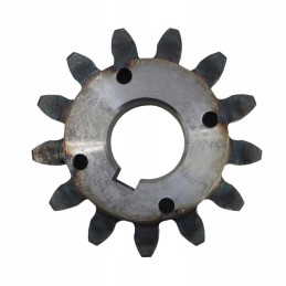Anna gorka spur gear, hardened