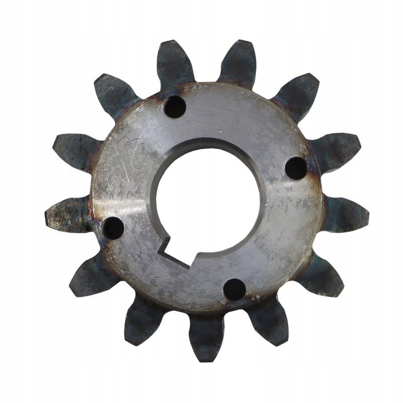 Anna gorka spur gear, hardened
