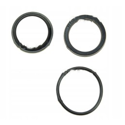 F161 seal set and motowidel bison cylinder