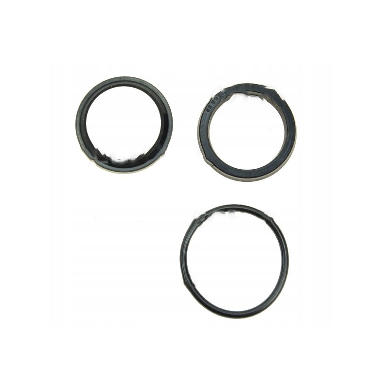 F161 seal set and motowidel bison cylinder