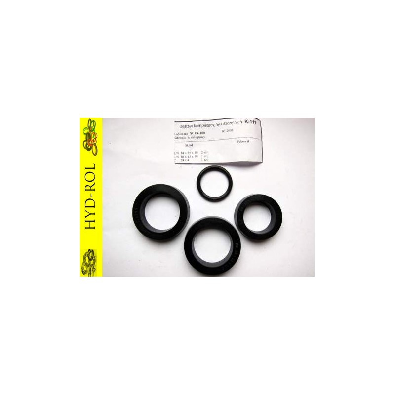 Seals for telescopic cylinder nujn100 k 119
