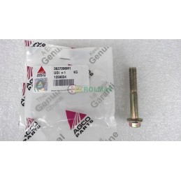 Massey Ferguson screw 3637096m1