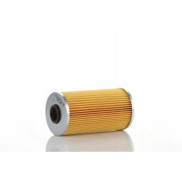 Bizon Plock fuel filter wp205 wp20 5