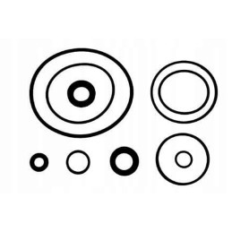 Vpj4003 power steering pump repair kit