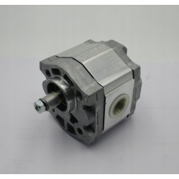 Bosch pump 0510110324