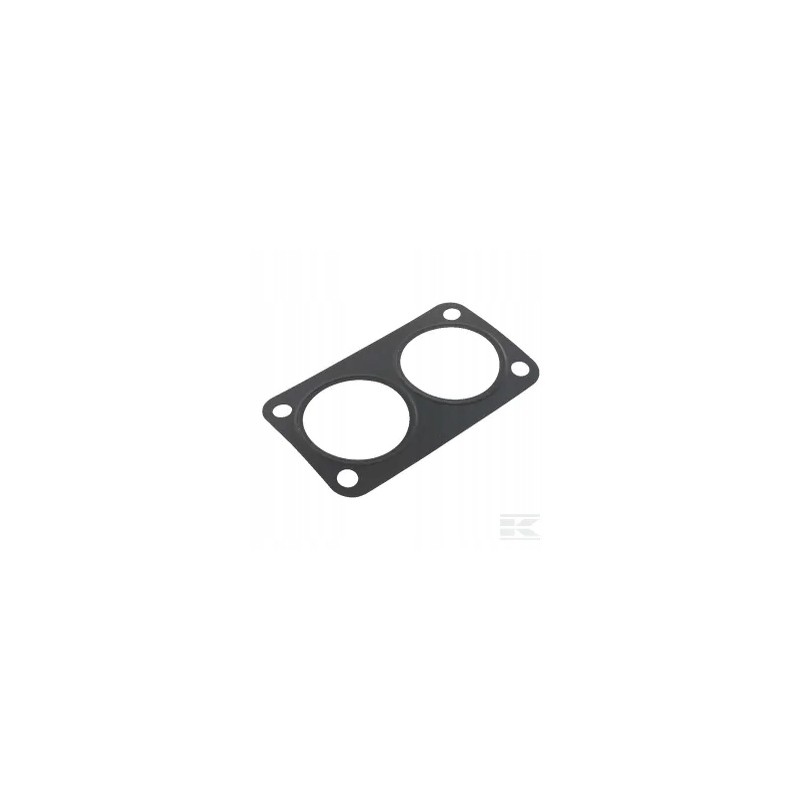 Thermostat gasket cnh