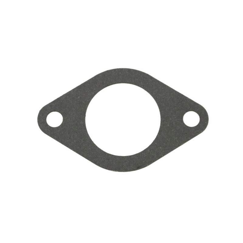 Bizon PLA1598 muffler collector gasket 5040390